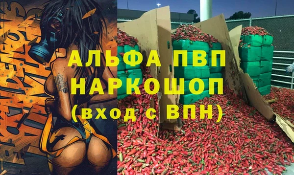 первитин Богданович