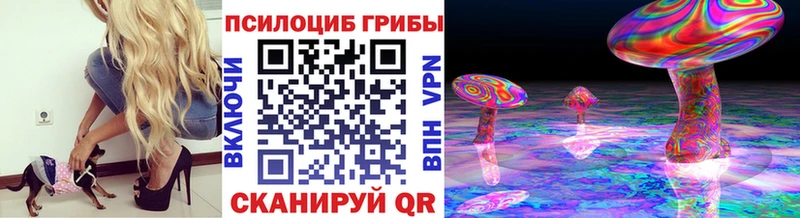 кракен   Дрезна  Псилоцибиновые грибы ЛСД 